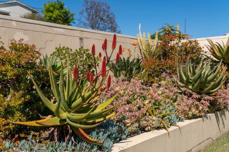 north_sydney_garden_competition_2024-12-min