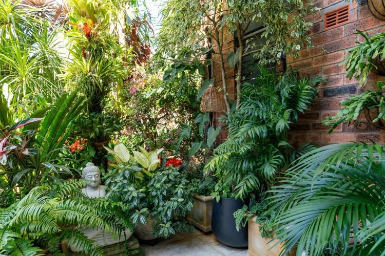 north_sydney_garden_competition_2024-17-min