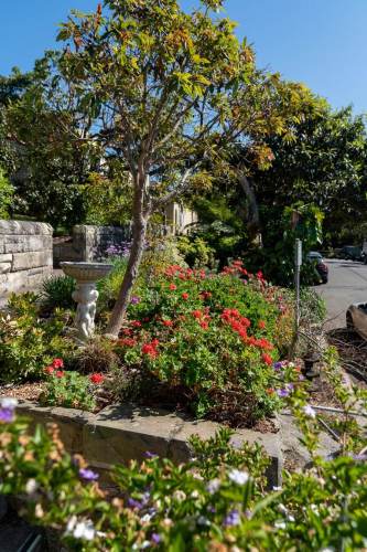 north_sydney_garden_competition_2024-19-min