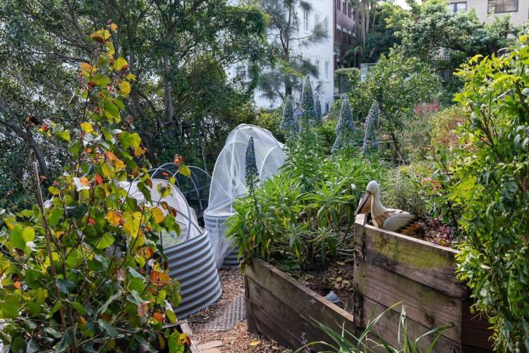 north_sydney_garden_competition_2024-22-min