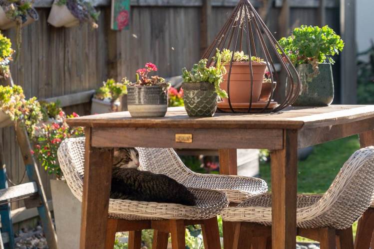 north_sydney_garden_competition_2024-27-min