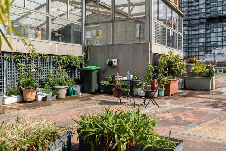 north_sydney_garden_competition_2024-28-min