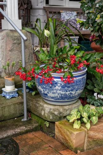 north_sydney_garden_competition_2024-3-min