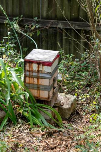 north_sydney_garden_competition_2024-32-min