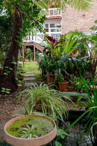 north_sydney_garden_competition_2024-33-min