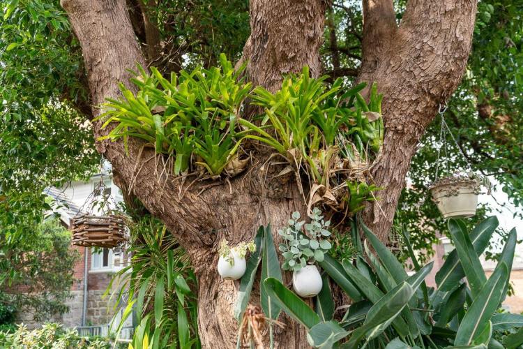 north_sydney_garden_competition_2024-37-min