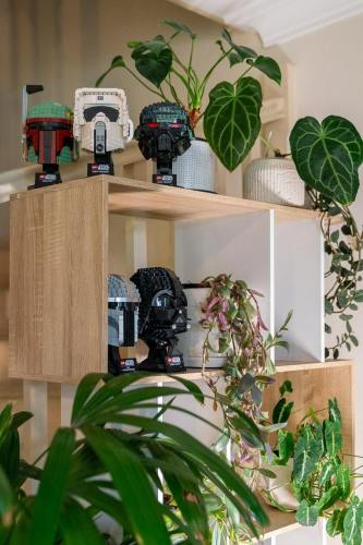 north_sydney_garden_competition_2024-42-min