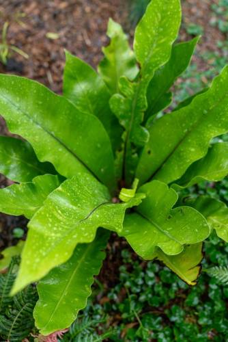 2024_I6_Susan_Green_web-18