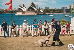 img-koshkamedia-event-photography-62