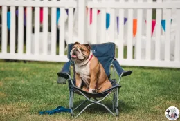 img-koshkamedia-event-photography-66