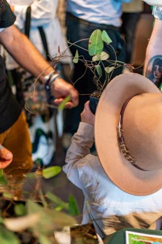 NthSyd_Garden_Awards_23-43-min
