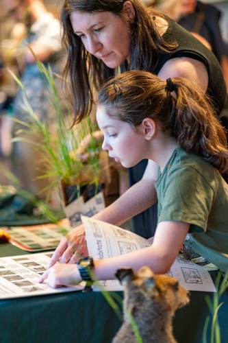 NthSyd_Garden_Awards_23-79-min