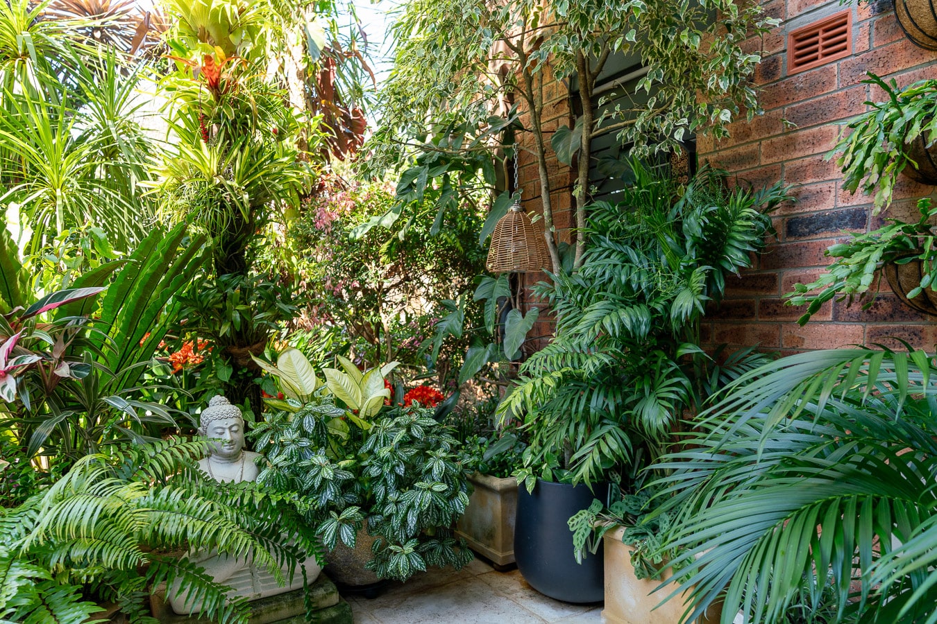 north sydney garden competition 2024