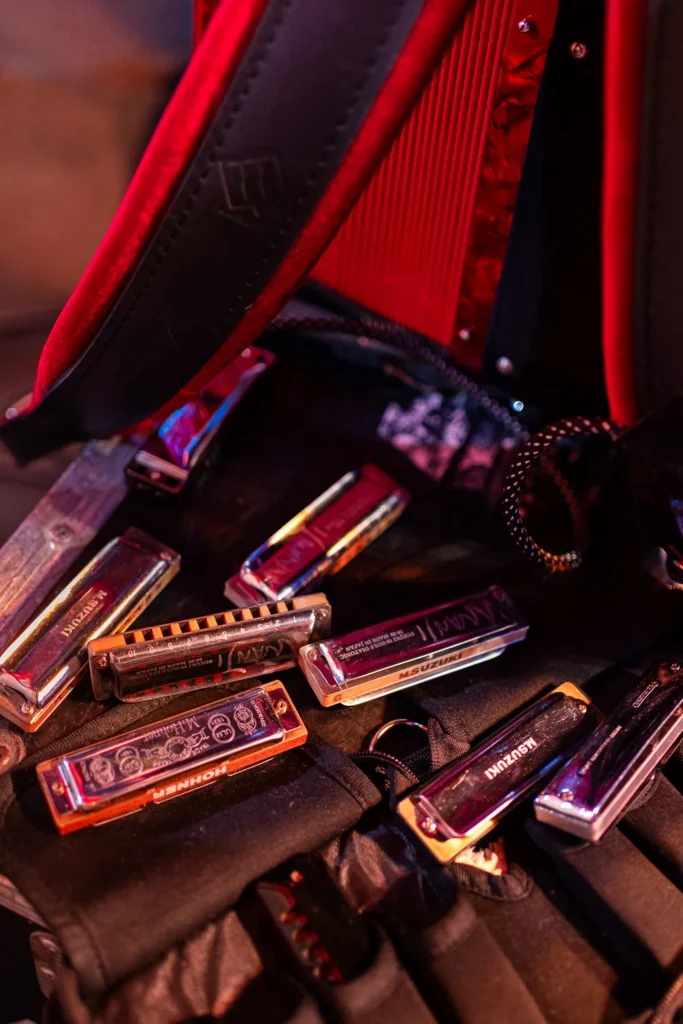 The harmonicas of the band Vopli Vidoplyasova at a concert in Sydney