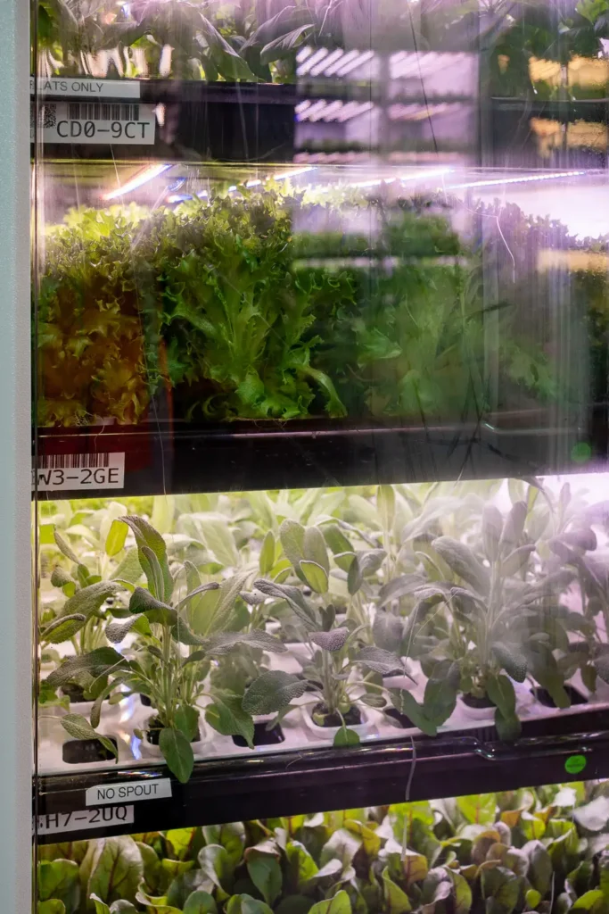 Detailed view of vertical farming technology components