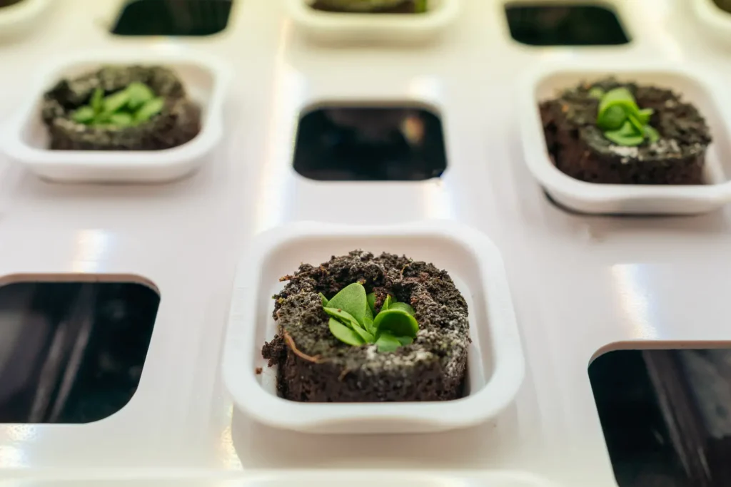 Herbs growing under LED lights in InvertiGro indoor farm system