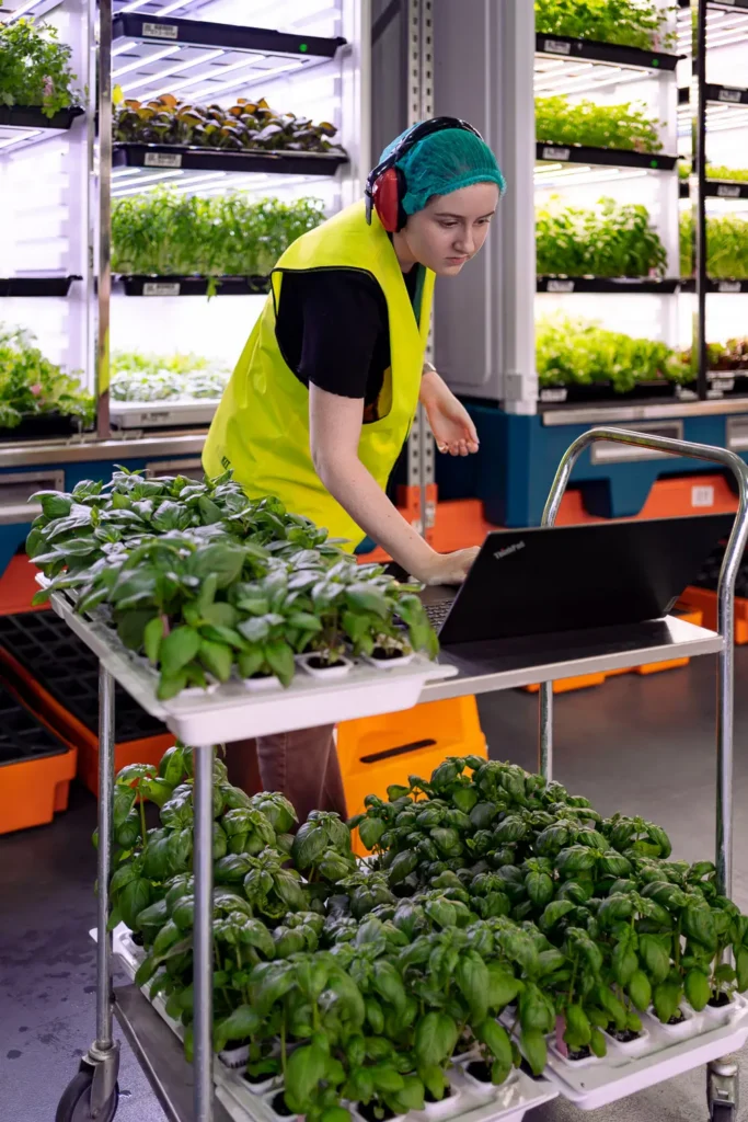 Commercial photography of indoor vertical farming system in Sydney