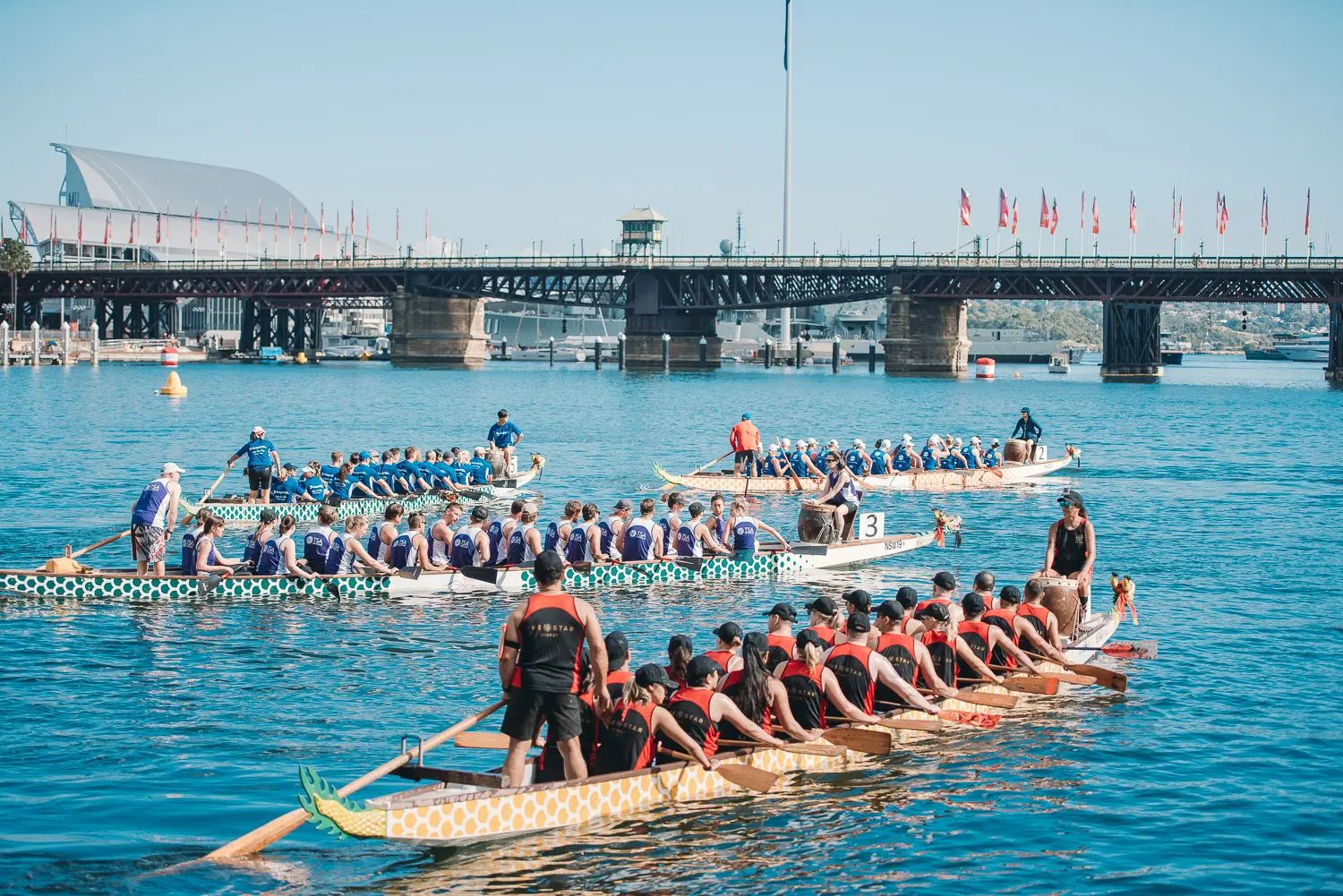 Several dragon boat teams lining up before race start near Pyrmont Bridge