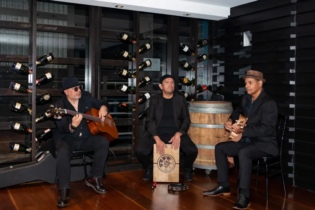 Musicians performing live during Australian Web Awards event