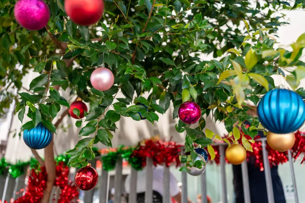 Colourful Christmas baubles hanging from a leafy tree at the Wayside Chapel celebration
