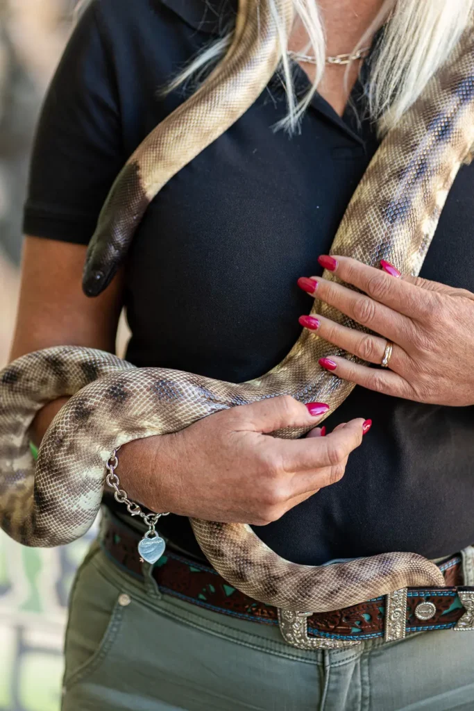 Snake wildlife demonstration at the Coal Loader Sustainability Festival in North Sydney