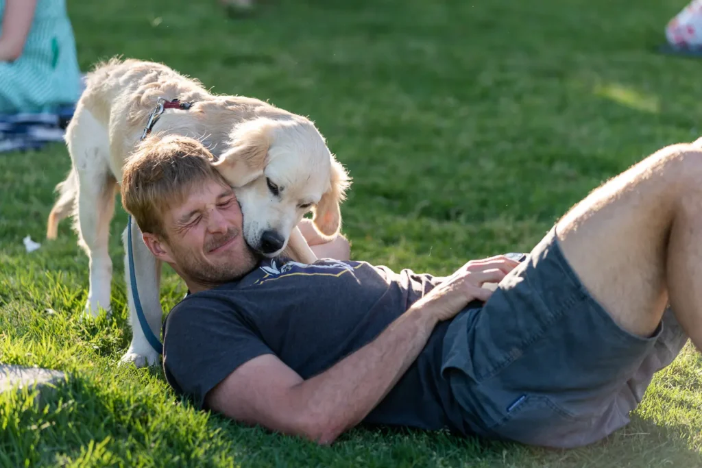 Golden retriever affectionately nuzzling its owner during the outdoor Sunset Series event